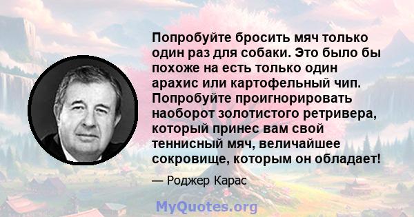 Попробуйте бросить мяч только один раз для собаки. Это было бы похоже на есть только один арахис или картофельный чип. Попробуйте проигнорировать наоборот золотистого ретривера, который принес вам свой теннисный мяч,