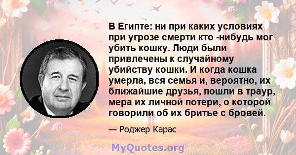 В Египте: ни при каких условиях при угрозе смерти кто -нибудь мог убить кошку. Люди были привлечены к случайному убийству кошки. И когда кошка умерла, вся семья и, вероятно, их ближайшие друзья, пошли в траур, мера их