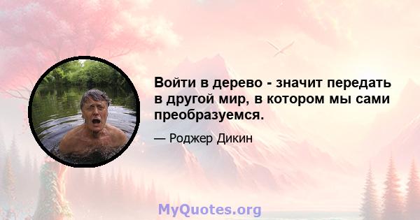 Войти в дерево - значит передать в другой мир, в котором мы сами преобразуемся.