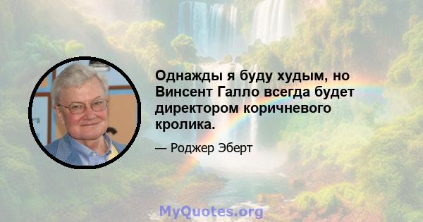 Однажды я буду худым, но Винсент Галло всегда будет директором коричневого кролика.