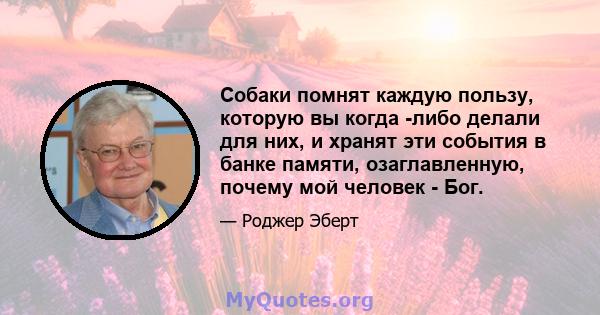 Собаки помнят каждую пользу, которую вы когда -либо делали для них, и хранят эти события в банке памяти, озаглавленную, почему мой человек - Бог.