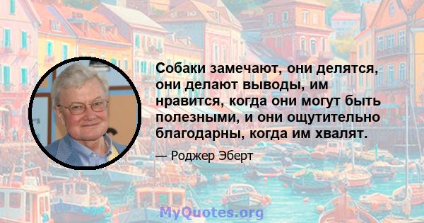 Собаки замечают, они делятся, они делают выводы, им нравится, когда они могут быть полезными, и они ощутительно благодарны, когда им хвалят.