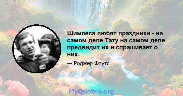 Шимпеса любят праздники - на самом деле Тату на самом деле предвидит их и спрашивает о них.