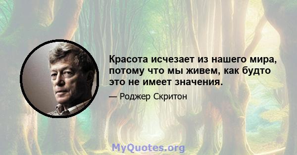 Красота исчезает из нашего мира, потому что мы живем, как будто это не имеет значения.