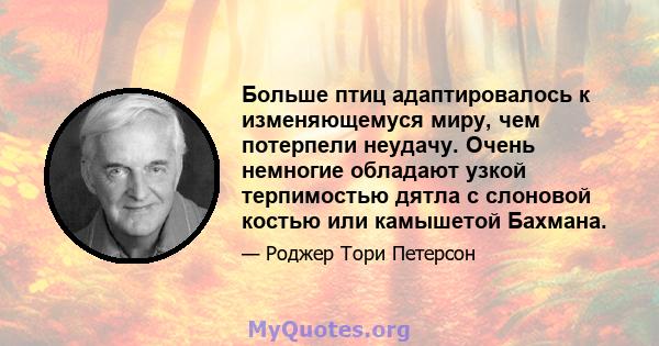 Больше птиц адаптировалось к изменяющемуся миру, чем потерпели неудачу. Очень немногие обладают узкой терпимостью дятла с слоновой костью или камышетой Бахмана.