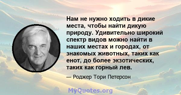 Нам не нужно ходить в дикие места, чтобы найти дикую природу. Удивительно широкий спектр видов можно найти в наших местах и ​​городах, от знакомых животных, таких как енот, до более экзотических, таких как горный лев.