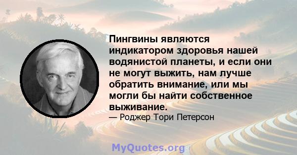 Пингвины являются индикатором здоровья нашей водянистой планеты, и если они не могут выжить, нам лучше обратить внимание, или мы могли бы найти собственное выживание.