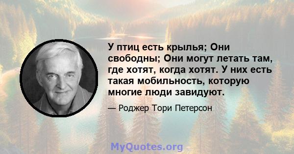 У птиц есть крылья; Они свободны; Они могут летать там, где хотят, когда хотят. У них есть такая мобильность, которую многие люди завидуют.