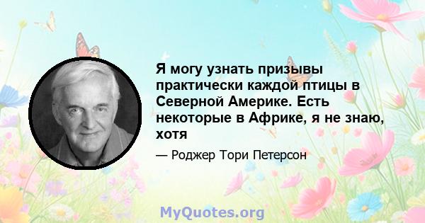 Я могу узнать призывы практически каждой птицы в Северной Америке. Есть некоторые в Африке, я не знаю, хотя