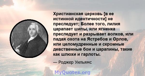 Христианская церковь [в ее истинной идентичности] не преследует; Более того, лилия царапает шипы, или ягненка преследует и разрывает волков, или падая охота на Ястребов и Орлов, или целомудренные и скромные девственные