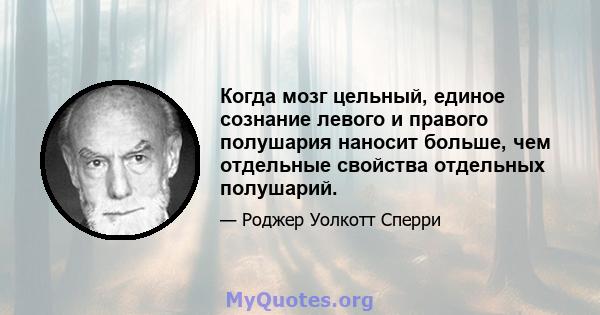 Когда мозг цельный, единое сознание левого и правого полушария наносит больше, чем отдельные свойства отдельных полушарий.