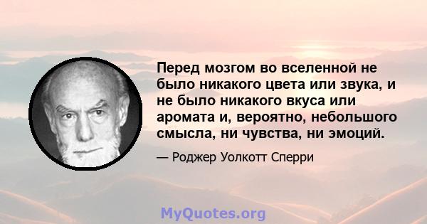 Перед мозгом во вселенной не было никакого цвета или звука, и не было никакого вкуса или аромата и, вероятно, небольшого смысла, ни чувства, ни эмоций.