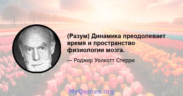 (Разум) Динамика преодолевает время и пространство физиологии мозга.