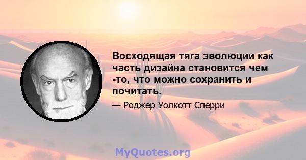 Восходящая тяга эволюции как часть дизайна становится чем -то, что можно сохранить и почитать.