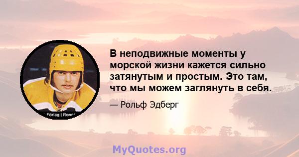 В неподвижные моменты у морской жизни кажется сильно затянутым и простым. Это там, что мы можем заглянуть в себя.