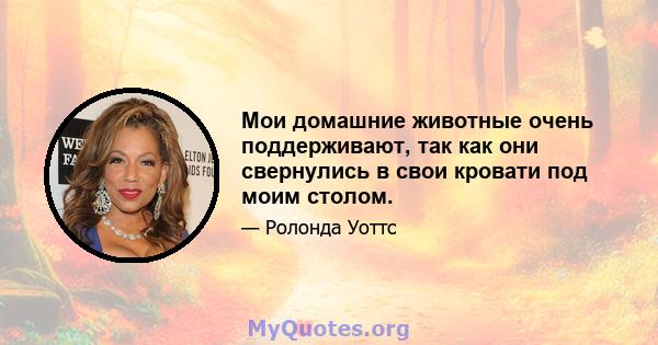 Мои домашние животные очень поддерживают, так как они свернулись в свои кровати под моим столом.