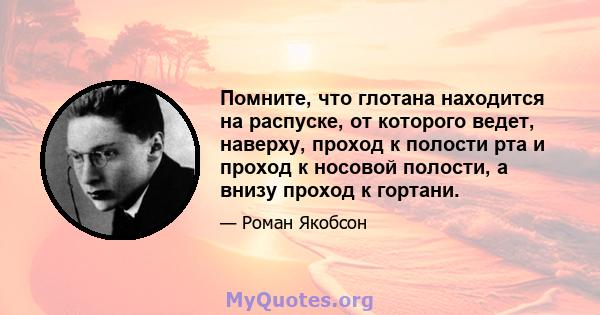 Помните, что глотана находится на распуске, от которого ведет, наверху, проход к полости рта и проход к носовой полости, а внизу проход к гортани.