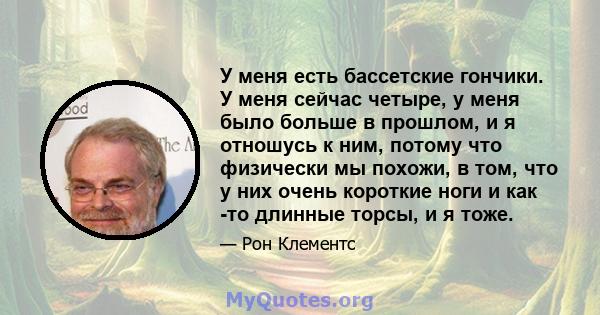 У меня есть бассетские гончики. У меня сейчас четыре, у меня было больше в прошлом, и я отношусь к ним, потому что физически мы похожи, в том, что у них очень короткие ноги и как -то длинные торсы, и я тоже.