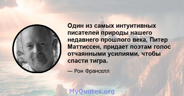 Один из самых интуитивных писателей природы нашего недавнего прошлого века, Питер Маттиссен, придает поэтам голос отчаянными усилиями, чтобы спасти тигра.