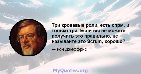 Три кровавые роли, есть спрм, и только три. Если вы не можете получить это правильно, не называйте это Scrum, хорошо?