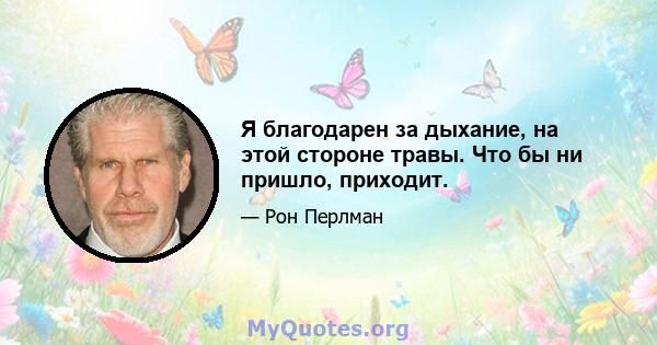 Я благодарен за дыхание, на этой стороне травы. Что бы ни пришло, приходит.