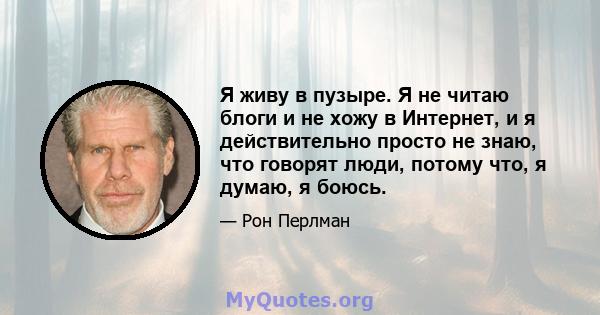 Я живу в пузыре. Я не читаю блоги и не хожу в Интернет, и я действительно просто не знаю, что говорят люди, потому что, я думаю, я боюсь.