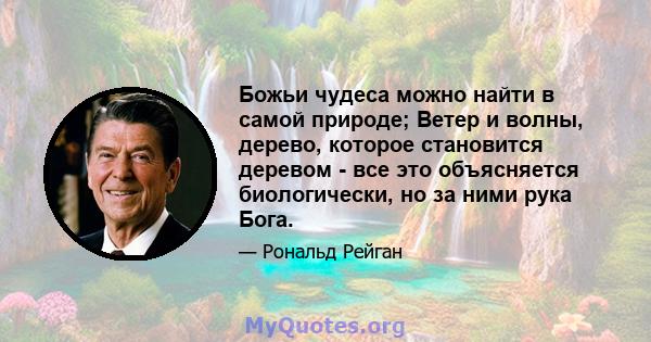 Божьи чудеса можно найти в самой природе; Ветер и волны, дерево, которое становится деревом - все это объясняется биологически, но за ними рука Бога.