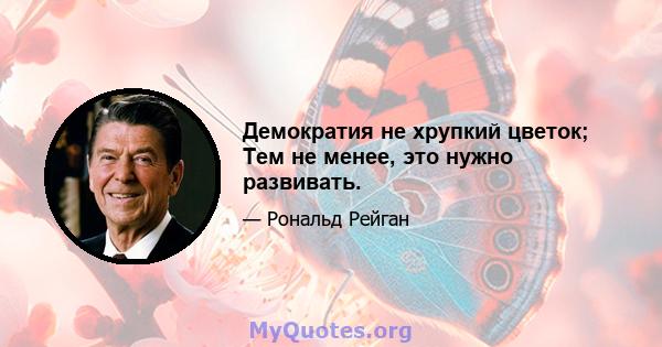 Демократия не хрупкий цветок; Тем не менее, это нужно развивать.