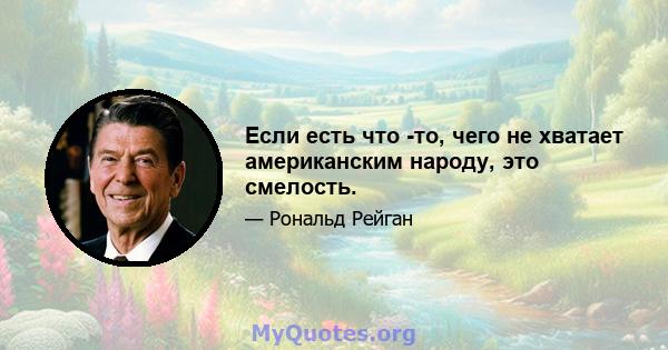 Если есть что -то, чего не хватает американским народу, это смелость.