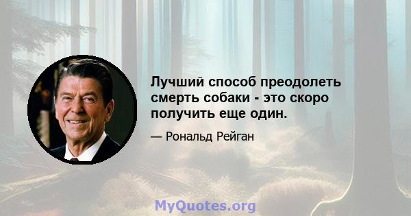 Лучший способ преодолеть смерть собаки - это скоро получить еще один.