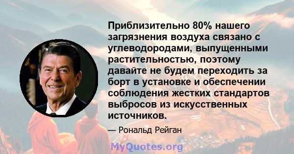 Приблизительно 80% нашего загрязнения воздуха связано с углеводородами, выпущенными растительностью, поэтому давайте не будем переходить за борт в установке и обеспечении соблюдения жестких стандартов выбросов из