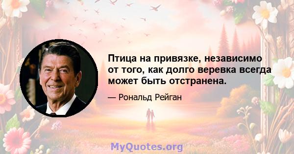 Птица на привязке, независимо от того, как долго веревка всегда может быть отстранена.