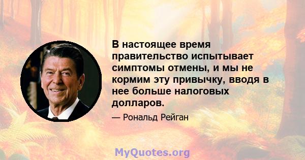 В настоящее время правительство испытывает симптомы отмены, и мы не кормим эту привычку, вводя в нее больше налоговых долларов.