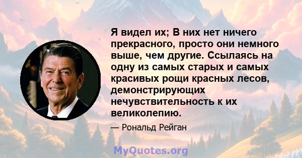 Я видел их; В них нет ничего прекрасного, просто они немного выше, чем другие. Ссылаясь на одну из самых старых и самых красивых рощи красных лесов, демонстрирующих нечувствительность к их великолепию.