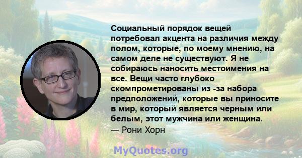 Социальный порядок вещей потребовал акцента на различия между полом, которые, по моему мнению, на самом деле не существуют. Я не собираюсь наносить местоимения на все. Вещи часто глубоко скомпрометированы из -за набора