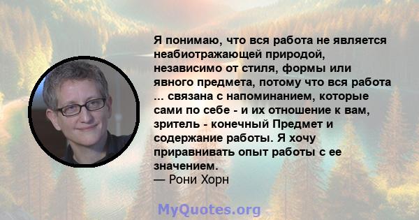 Я понимаю, что вся работа не является неабиотражающей природой, независимо от стиля, формы или явного предмета, потому что вся работа ... связана с напоминанием, которые сами по себе - и их отношение к вам, зритель -