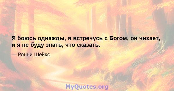 Я боюсь однажды, я встречусь с Богом, он чихает, и я не буду знать, что сказать.