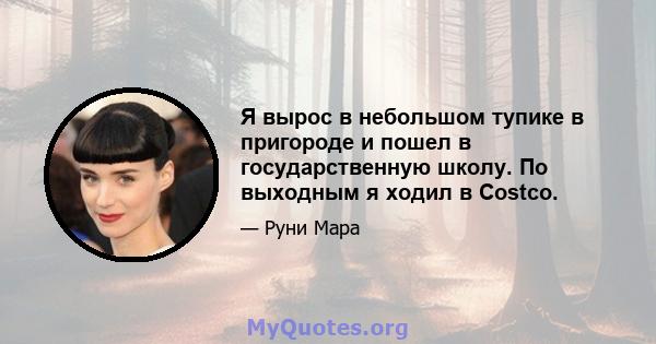 Я вырос в небольшом тупике в пригороде и пошел в государственную школу. По выходным я ходил в Costco.