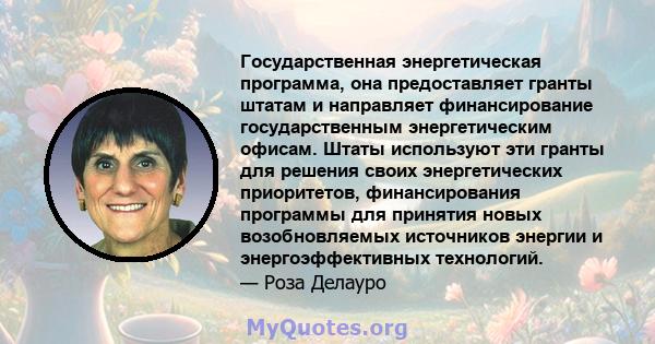 Государственная энергетическая программа, она предоставляет гранты штатам и направляет финансирование государственным энергетическим офисам. Штаты используют эти гранты для решения своих энергетических приоритетов,