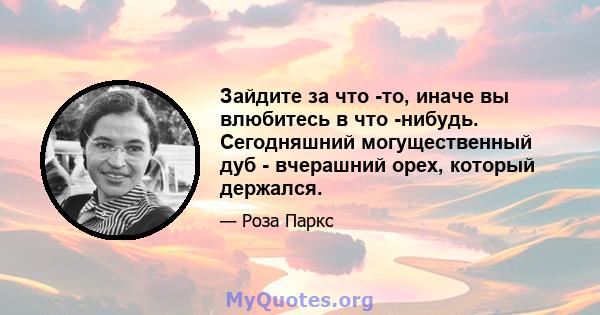 Зайдите за что -то, иначе вы влюбитесь в что -нибудь. Сегодняшний могущественный дуб - вчерашний орех, который держался.