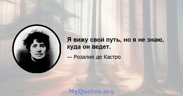 Я вижу свой путь, но я не знаю, куда он ведет.