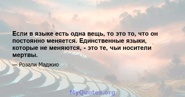 Если в языке есть одна вещь, то это то, что он постоянно меняется. Единственные языки, которые не меняются, - это те, чьи носители мертвы.