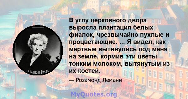 В углу церковного двора выросла плантация белых фиалок, чрезвычайно пухлые и процветающие. ... Я видел, как мертвые вытянулись под меня на земле, кормив эти цветы тонким молоком, вытянутым из их костей.