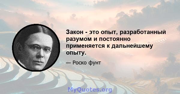 Закон - это опыт, разработанный разумом и постоянно применяется к дальнейшему опыту.