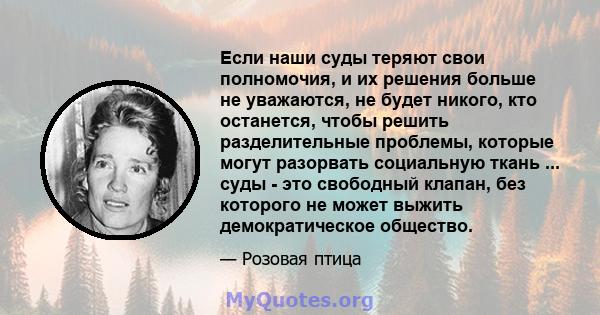 Если наши суды теряют свои полномочия, и их решения больше не уважаются, не будет никого, кто останется, чтобы решить разделительные проблемы, которые могут разорвать социальную ткань ... суды - это свободный клапан,