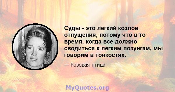 Суды - это легкий козлов отпущения, потому что в то время, когда все должно сводиться к легким лозунгам, мы говорим в тонкостях.