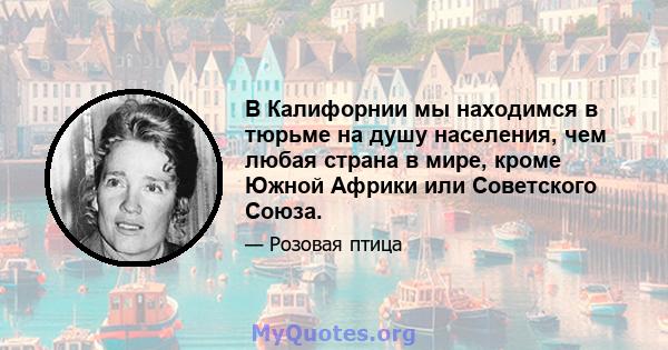 В Калифорнии мы находимся в тюрьме на душу населения, чем любая страна в мире, кроме Южной Африки или Советского Союза.