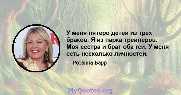 У меня пятеро детей из трех браков. Я из парка трейлеров. Моя сестра и брат оба гей. У меня есть несколько личностей.