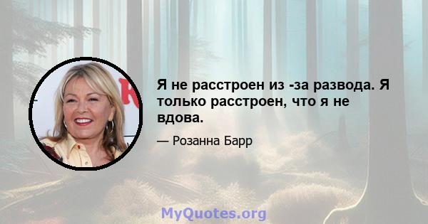 Я не расстроен из -за развода. Я только расстроен, что я не вдова.