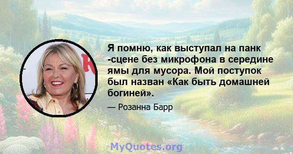 Я помню, как выступал на панк -сцене без микрофона в середине ямы для мусора. Мой поступок был назван «Как быть домашней богиней».